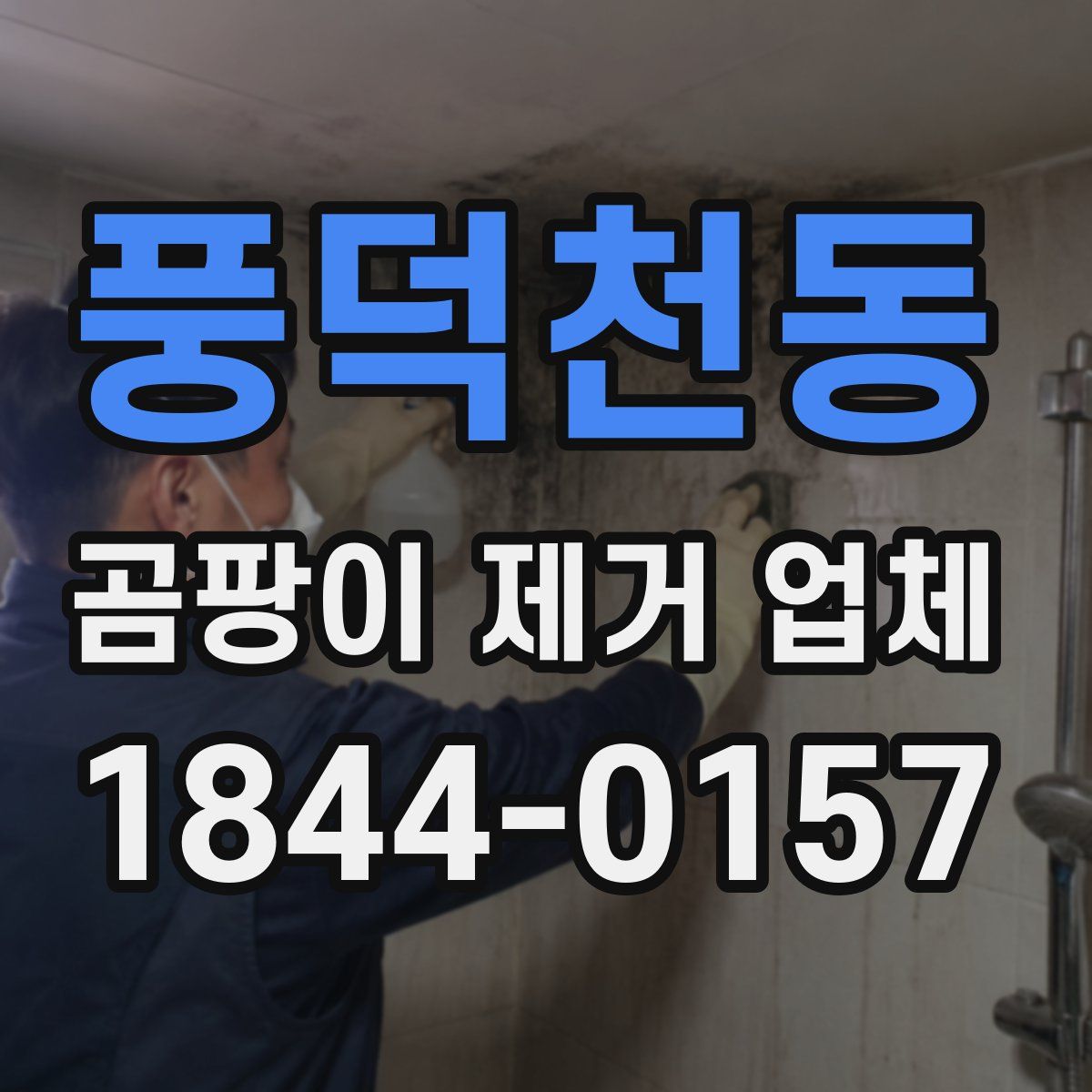 풍덕천동 곰팡이 제거 업체