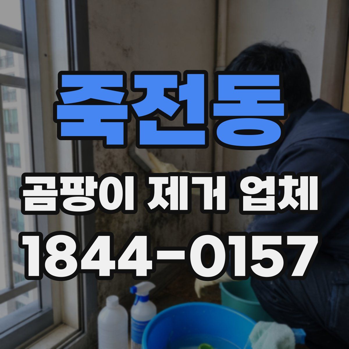 죽전동 곰팡이 제거 업체