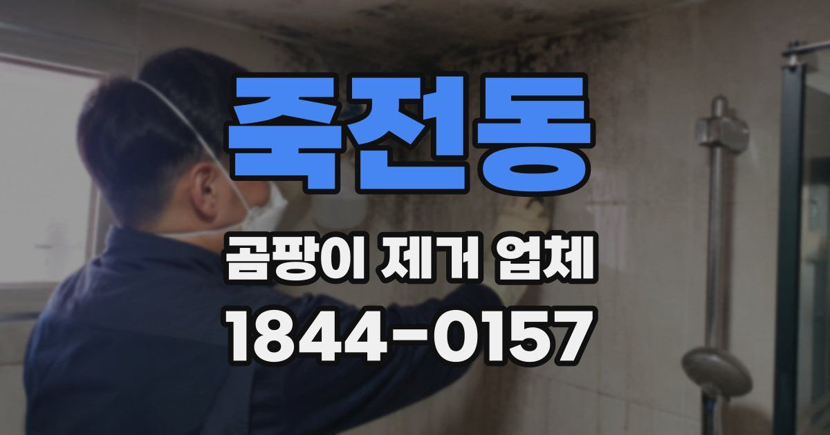 죽전동 곰팡이 제거 업체