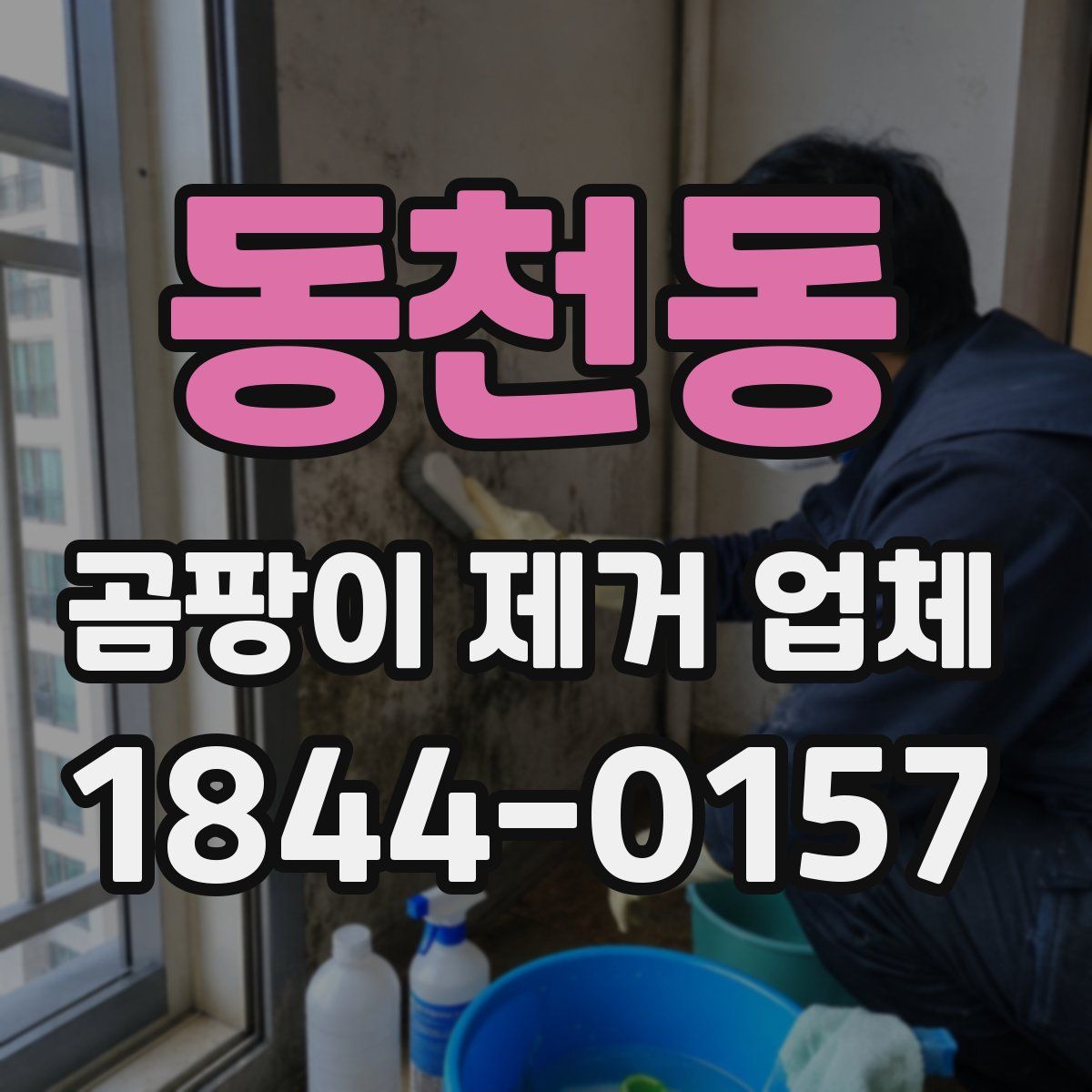 동천동 곰팡이 제거 업체
