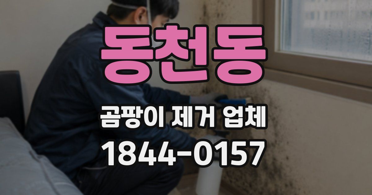 동천동 곰팡이 제거 업체