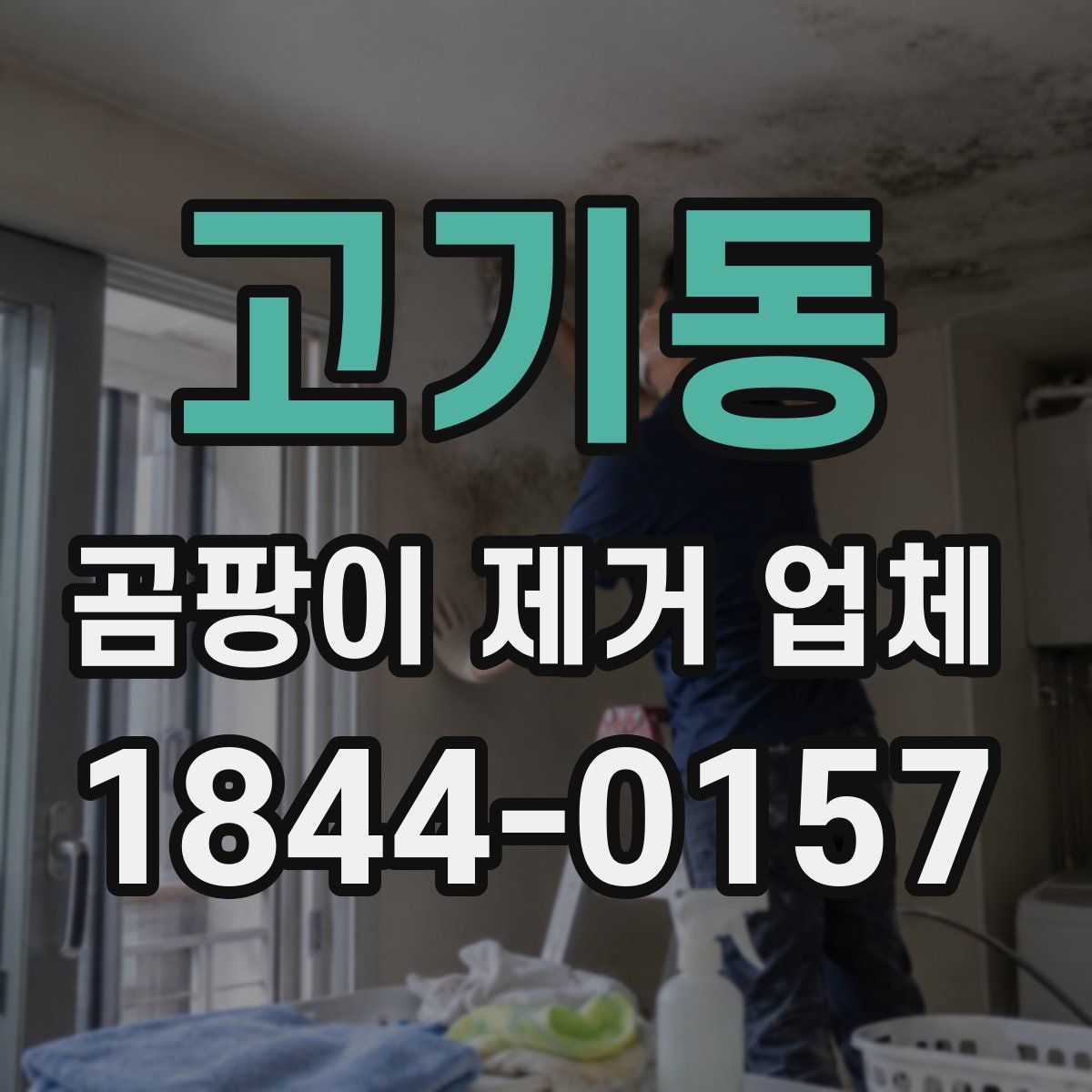 고기동 곰팡이 제거 업체