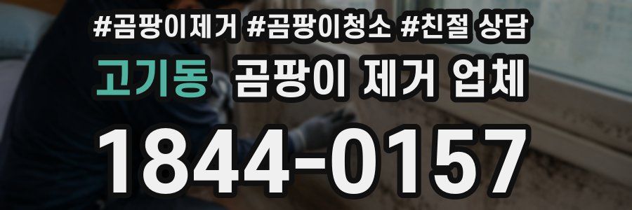 고기동 곰팡이 제거 업체