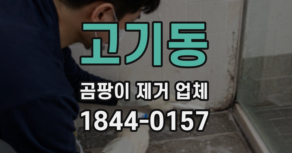 고기동 곰팡이 제거 업체