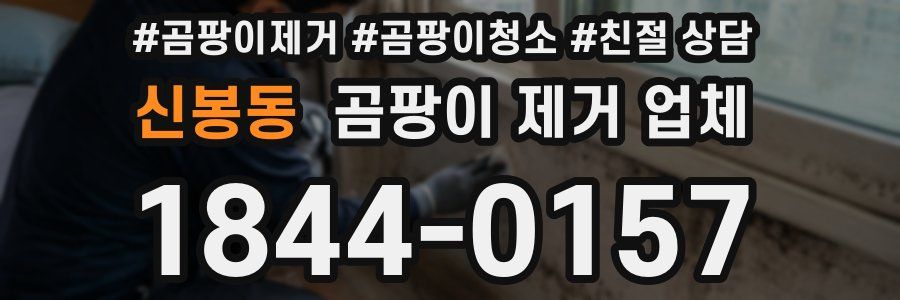 신봉동 곰팡이 제거 업체