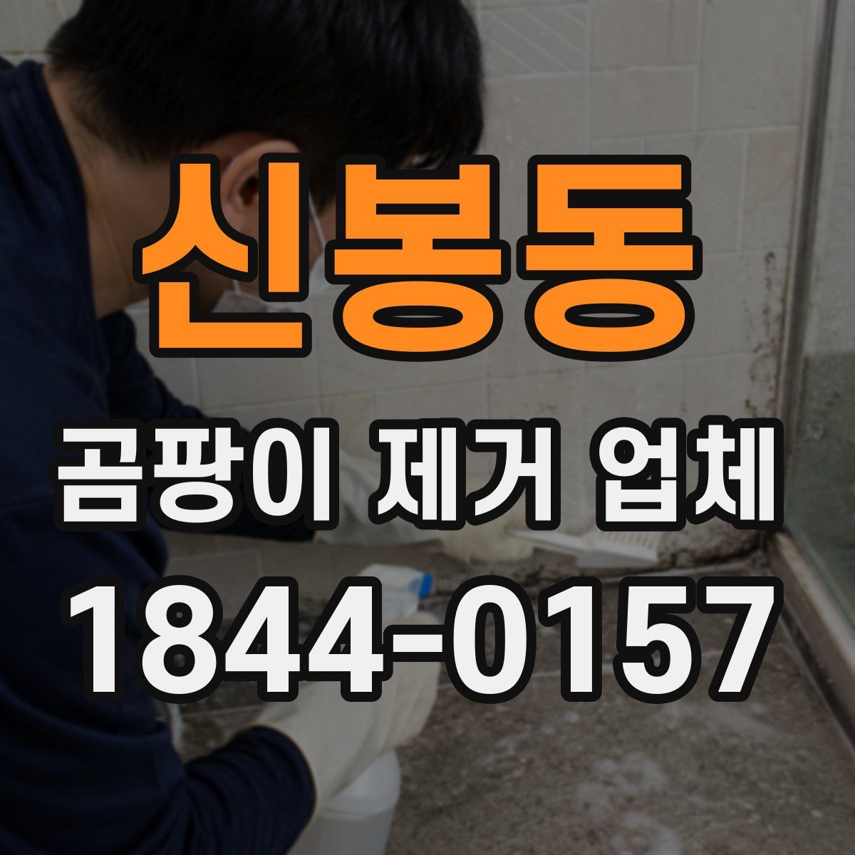 신봉동 곰팡이 제거 업체