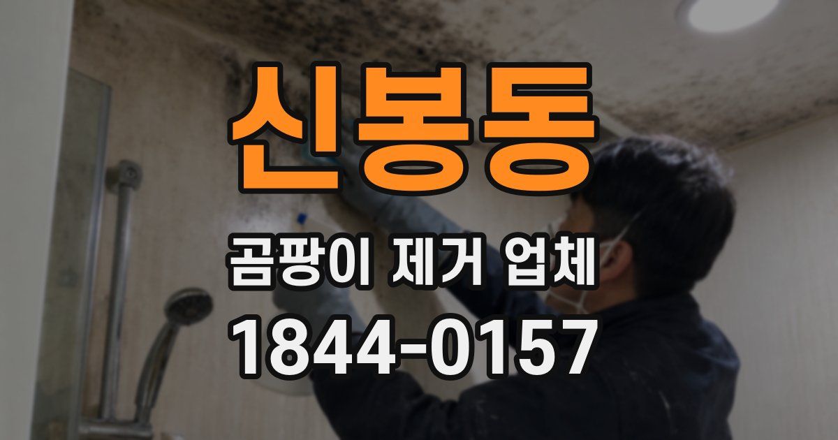 신봉동 곰팡이 제거 업체