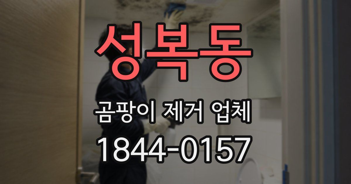 성복동 곰팡이 제거 업체
