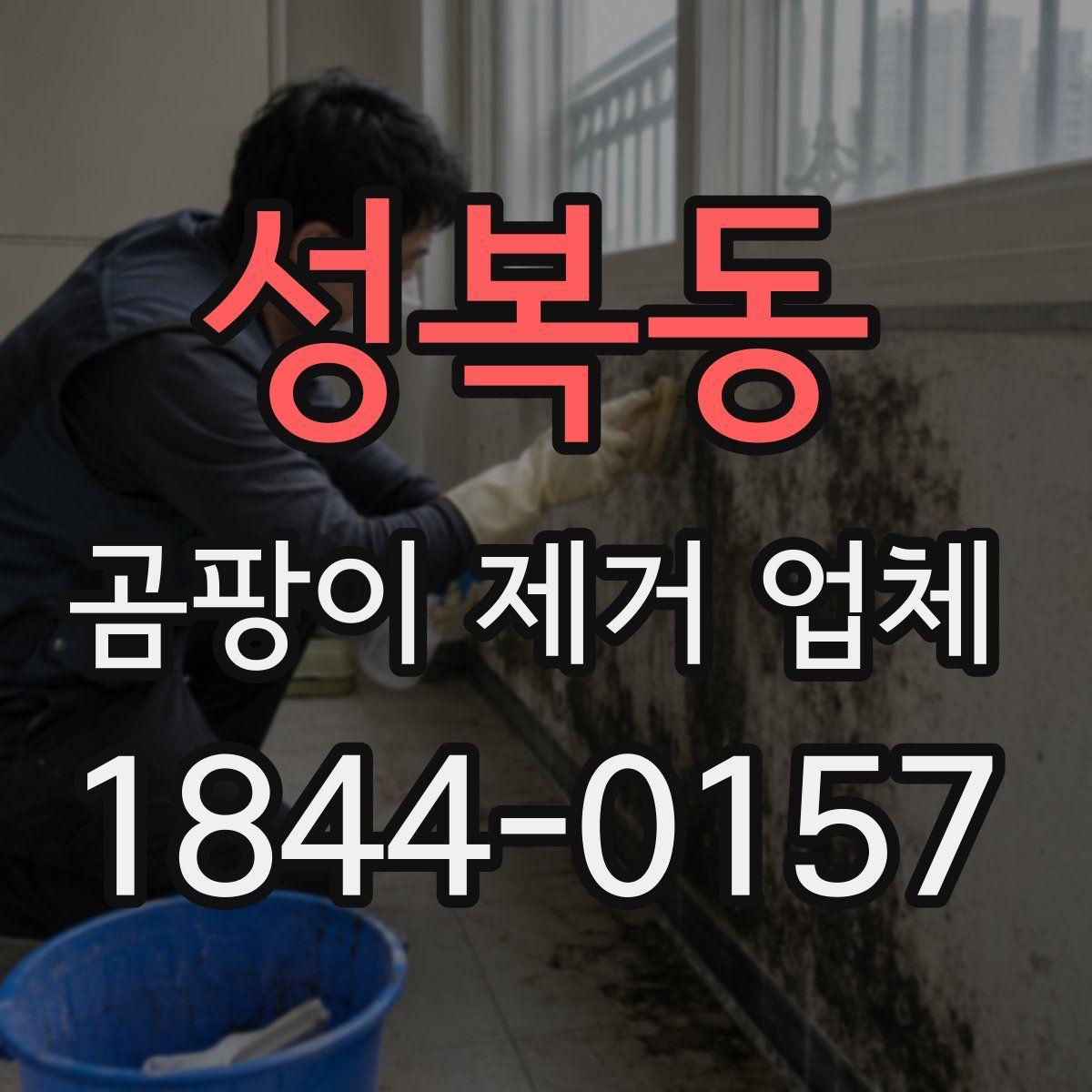 성복동 곰팡이 제거 업체
