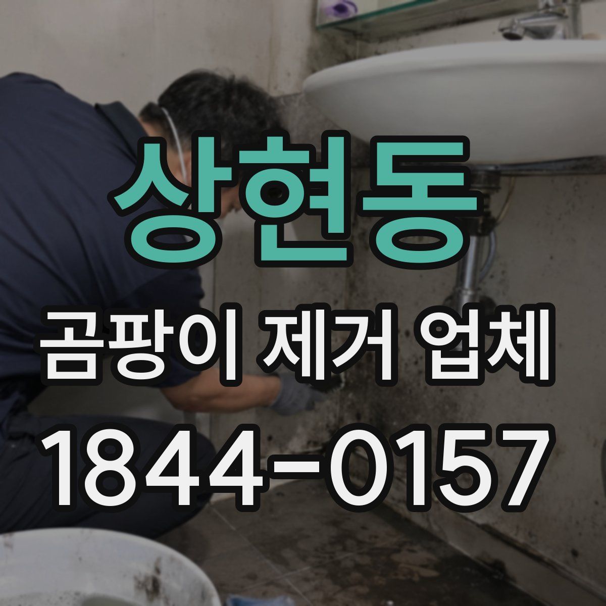 상현동 곰팡이 제거 업체