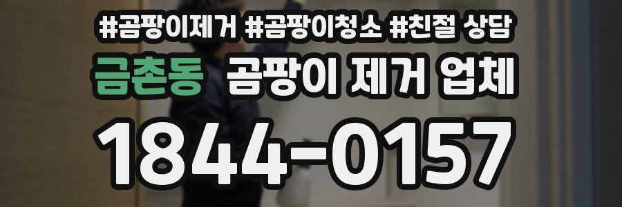 금촌동 곰팡이 제거 업체