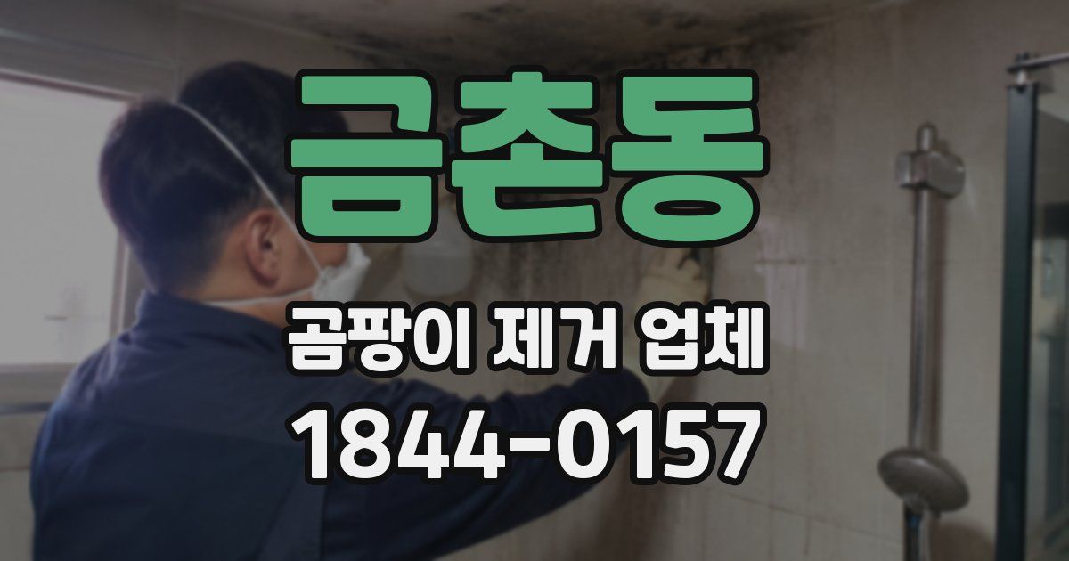 금촌동 곰팡이 제거 업체
