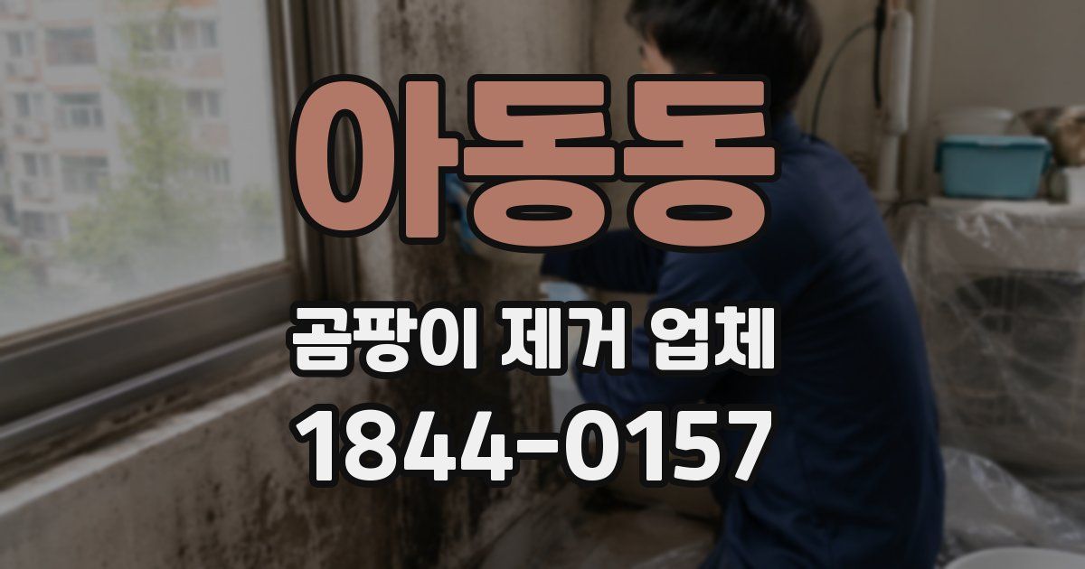 아동동 곰팡이 제거 업체