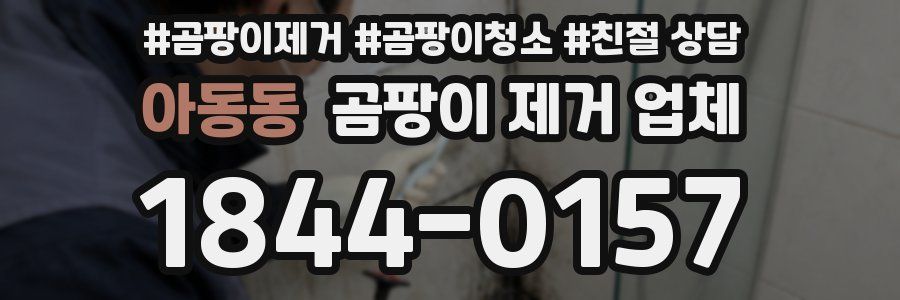아동동 곰팡이 제거 업체