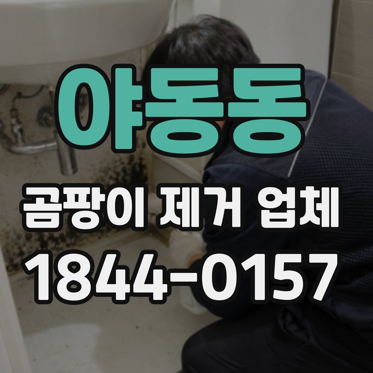 야동동 곰팡이 제거 업체