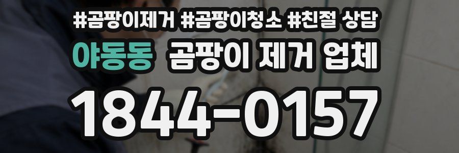 야동동 곰팡이 제거 업체