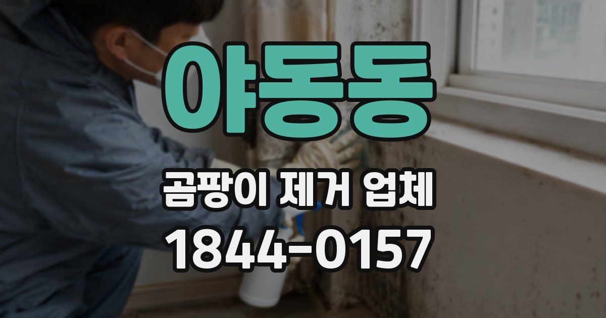 야동동 곰팡이 제거 업체