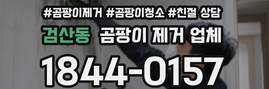 검산동 곰팡이 제거 업체