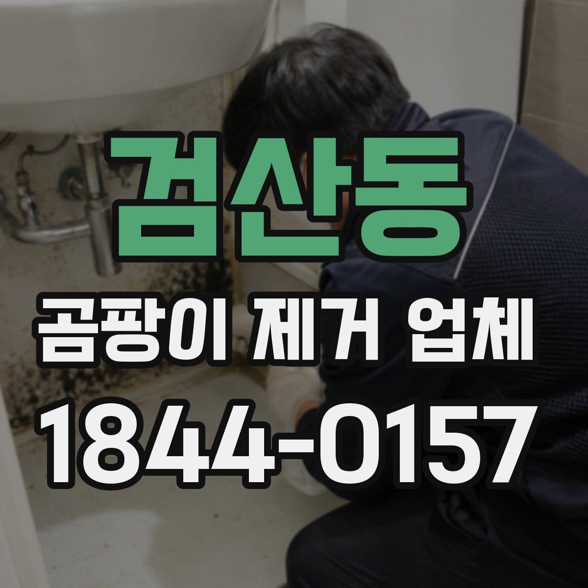 검산동 곰팡이 제거 업체