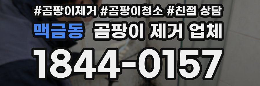 맥금동 곰팡이 제거 업체