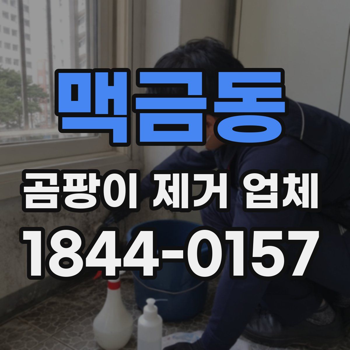 맥금동 곰팡이 제거 업체