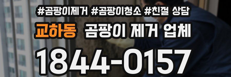 교하동 곰팡이 제거 업체