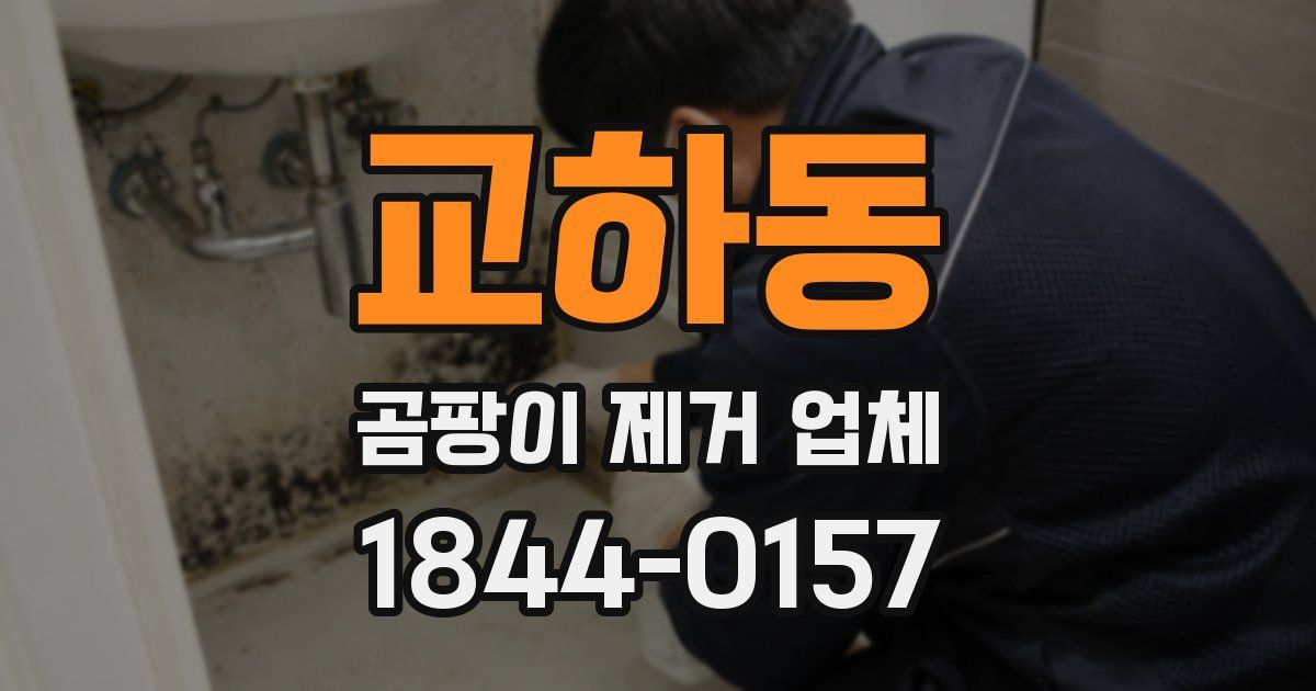 교하동 곰팡이 제거 업체