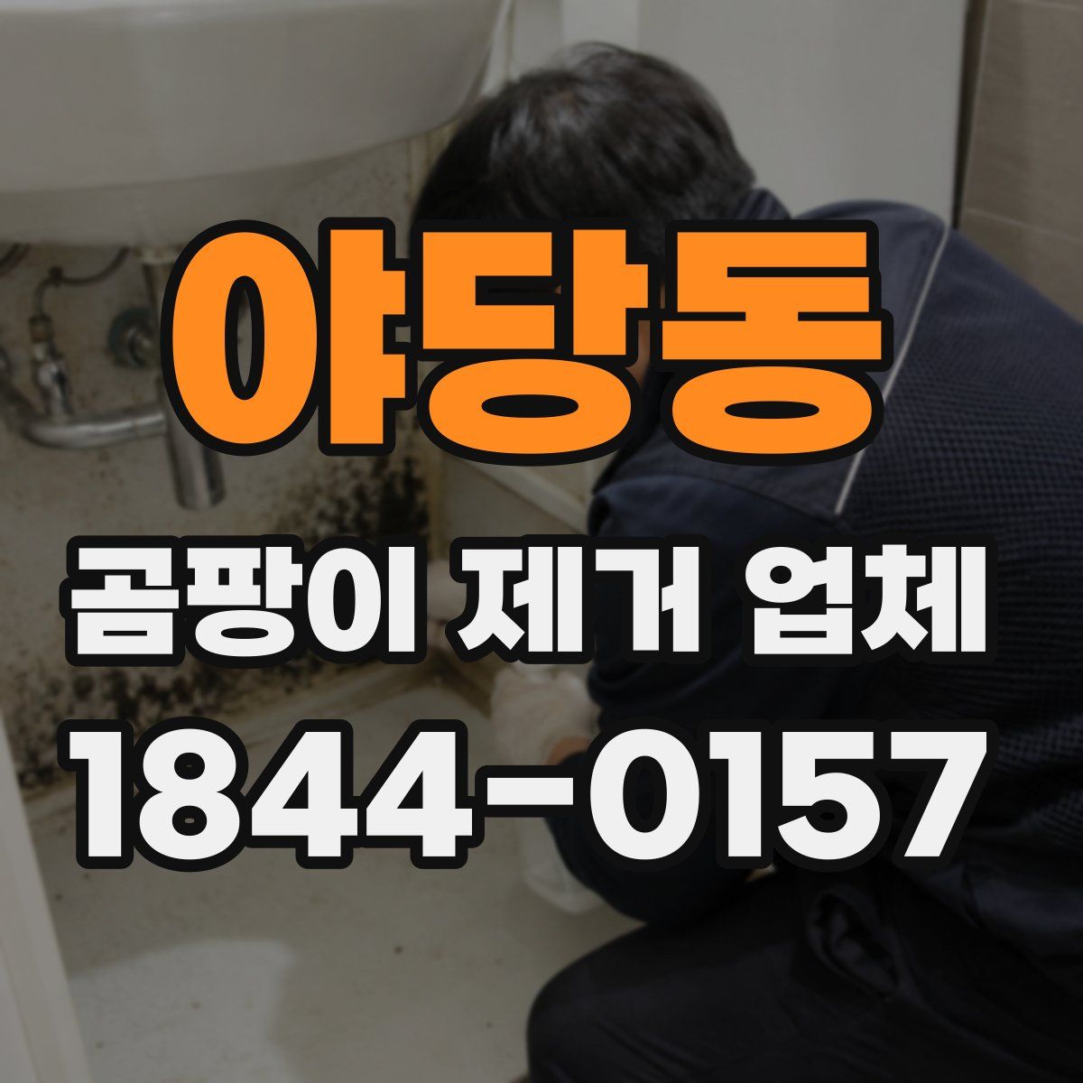 야당동 곰팡이 제거 업체
