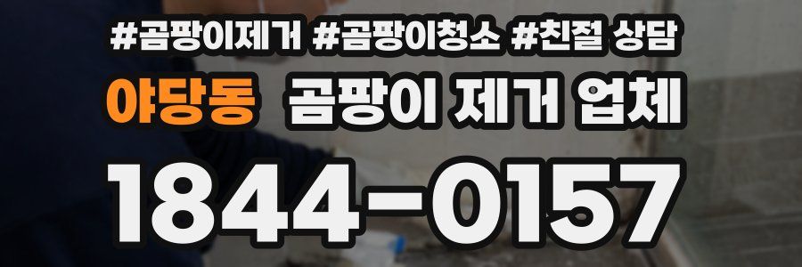 야당동 곰팡이 제거 업체