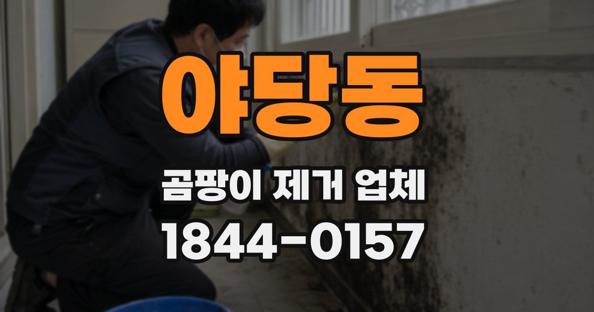 야당동 곰팡이 제거 업체