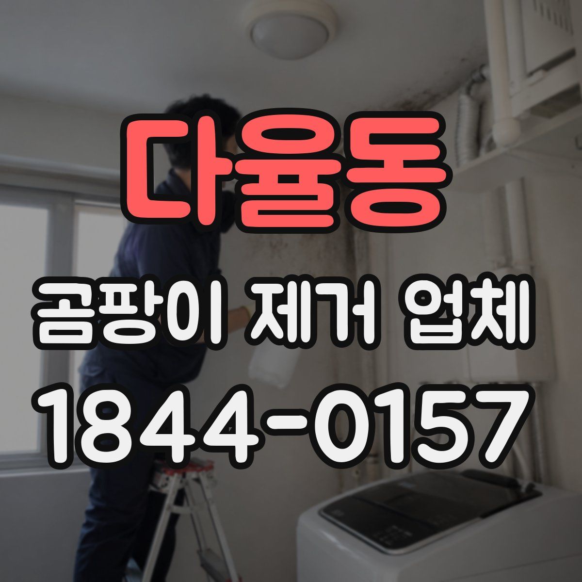 다율동 곰팡이 제거 업체