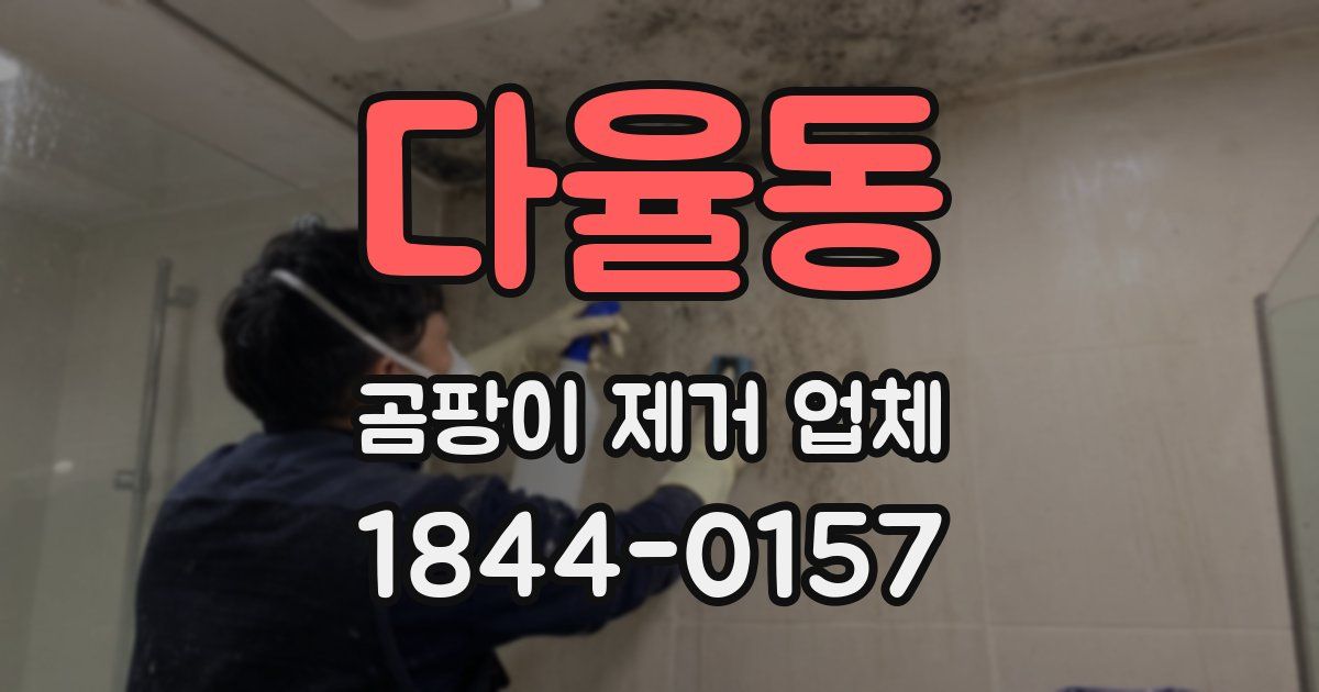 다율동 곰팡이 제거 업체