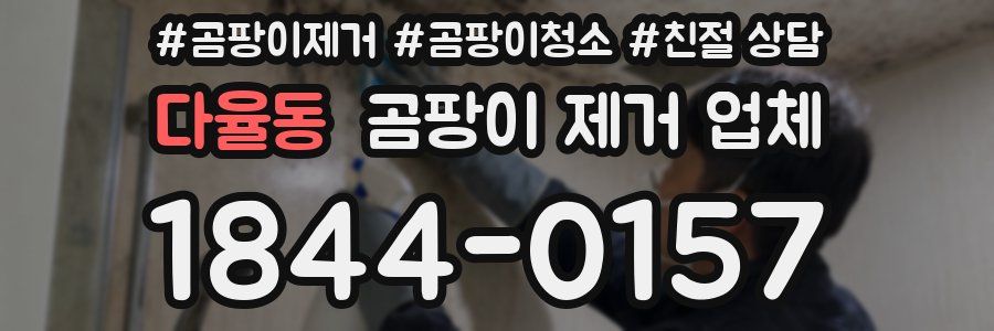 다율동 곰팡이 제거 업체