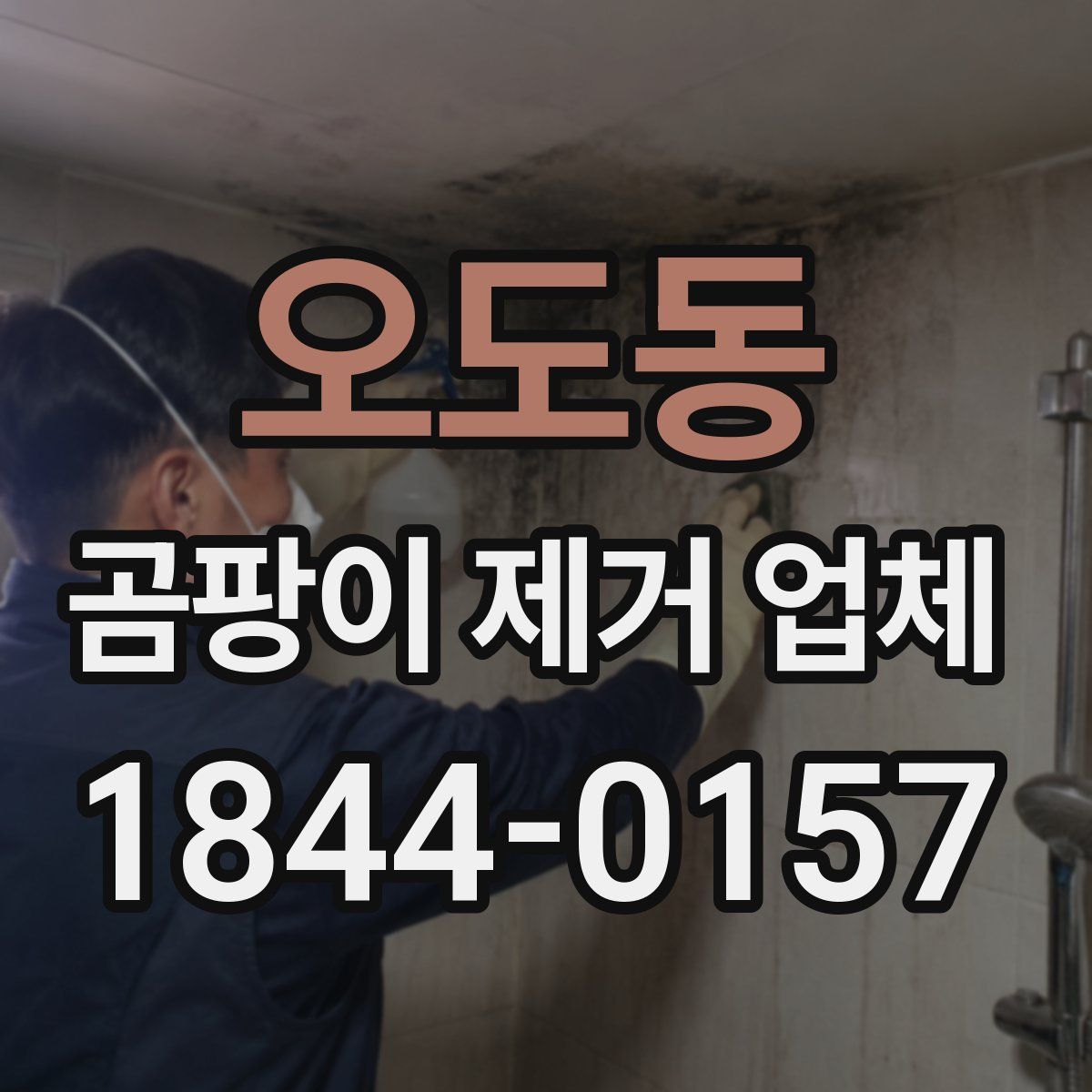오도동 곰팡이 제거 업체
