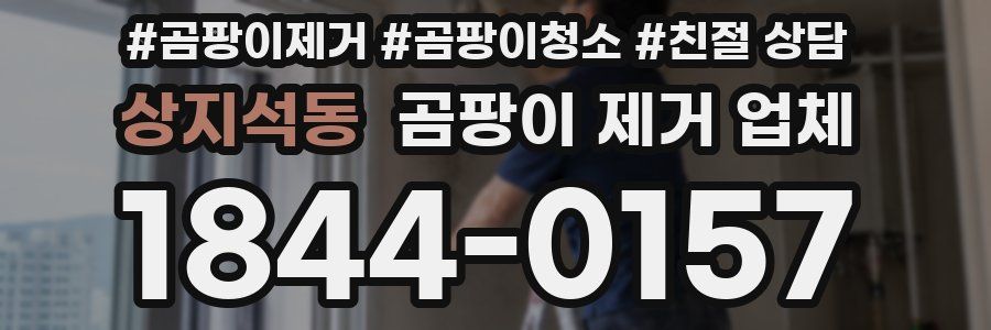 상지석동 곰팡이 제거 업체