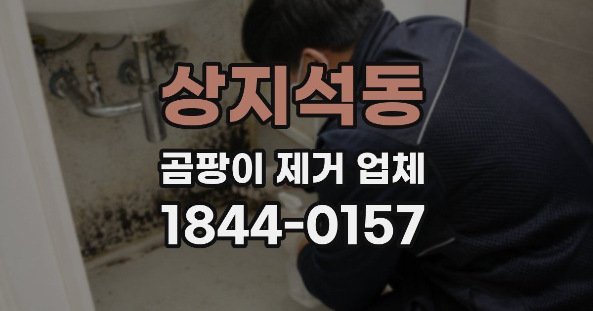 상지석동 곰팡이 제거 업체