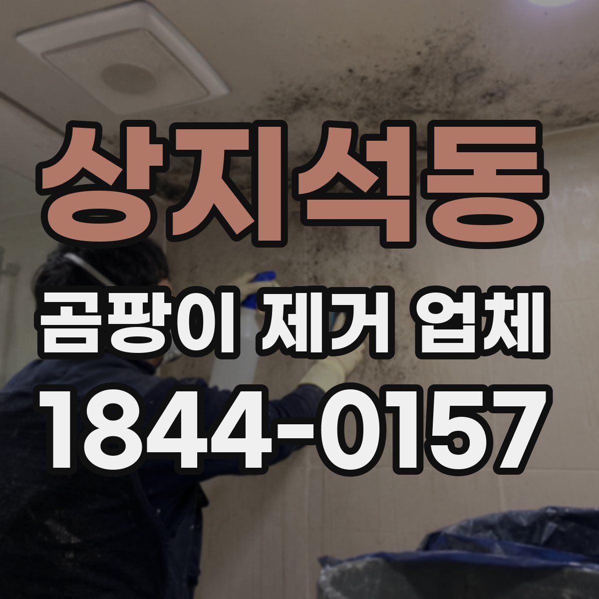 상지석동 곰팡이 제거 업체