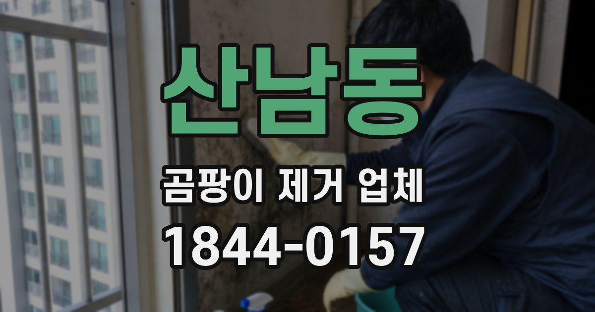 산남동 곰팡이 제거 업체