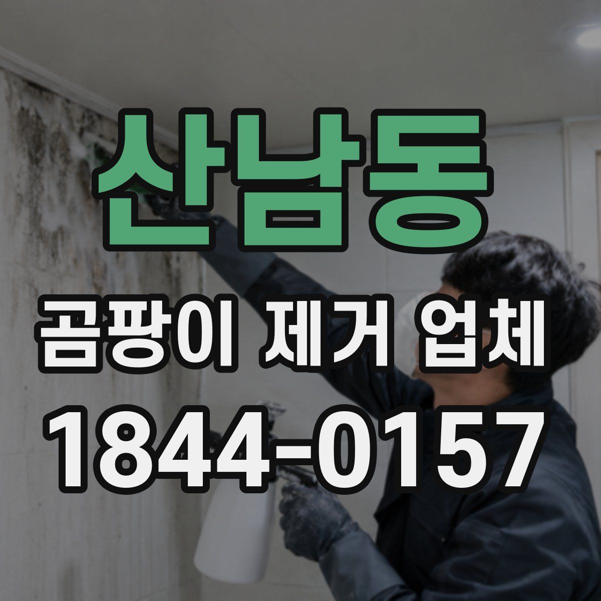산남동 곰팡이 제거 업체
