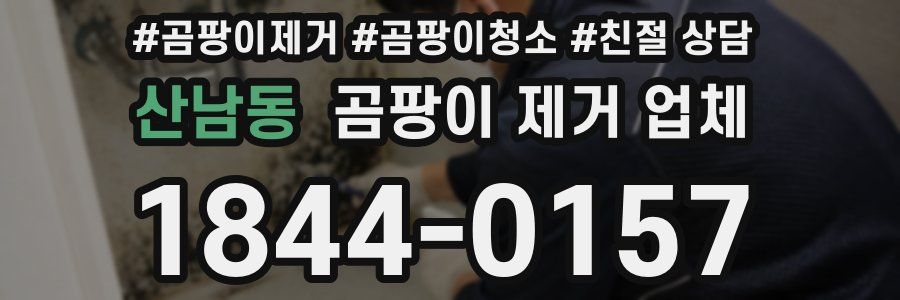 산남동 곰팡이 제거 업체