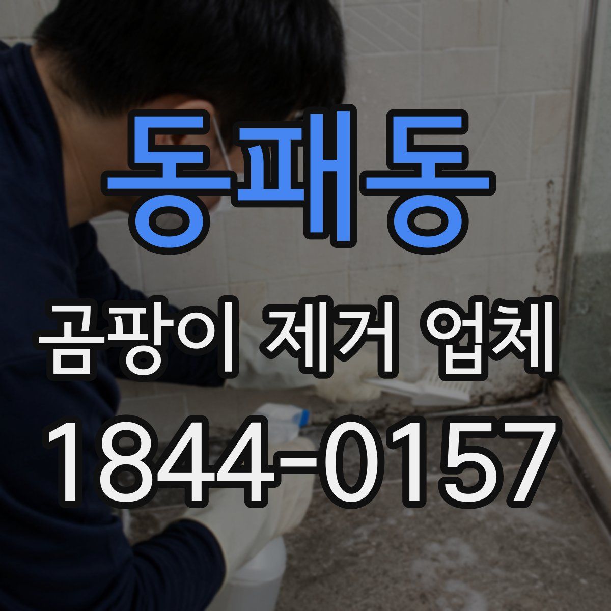 동패동 곰팡이 제거 업체