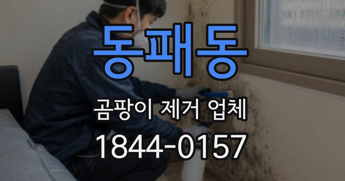 동패동 곰팡이 제거 업체
