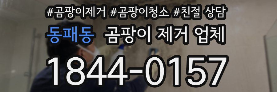 동패동 곰팡이 제거 업체