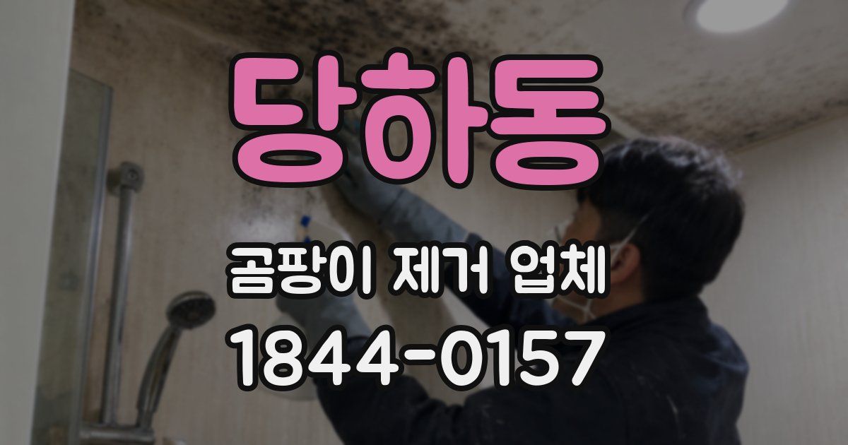당하동 곰팡이 제거 업체