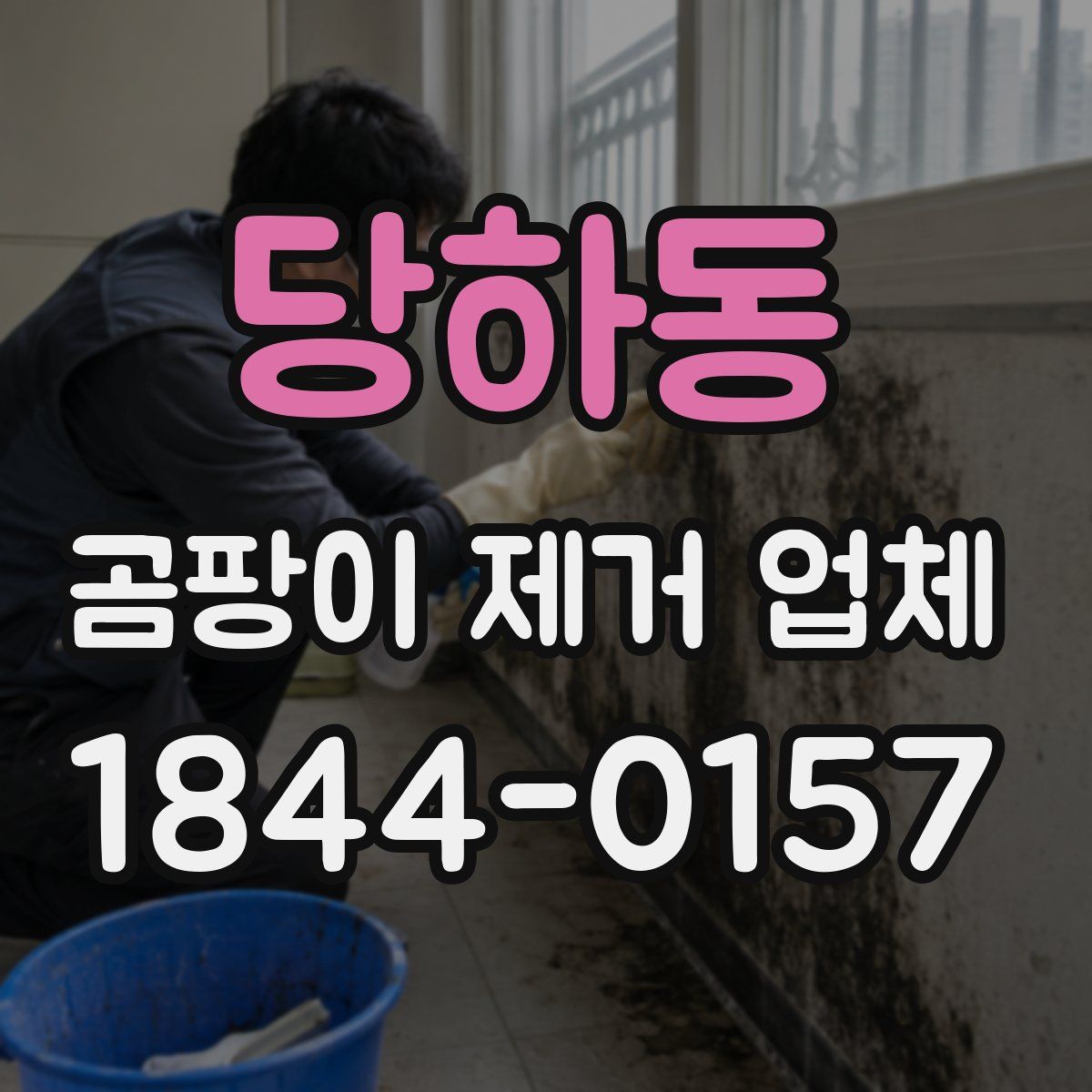 당하동 곰팡이 제거 업체