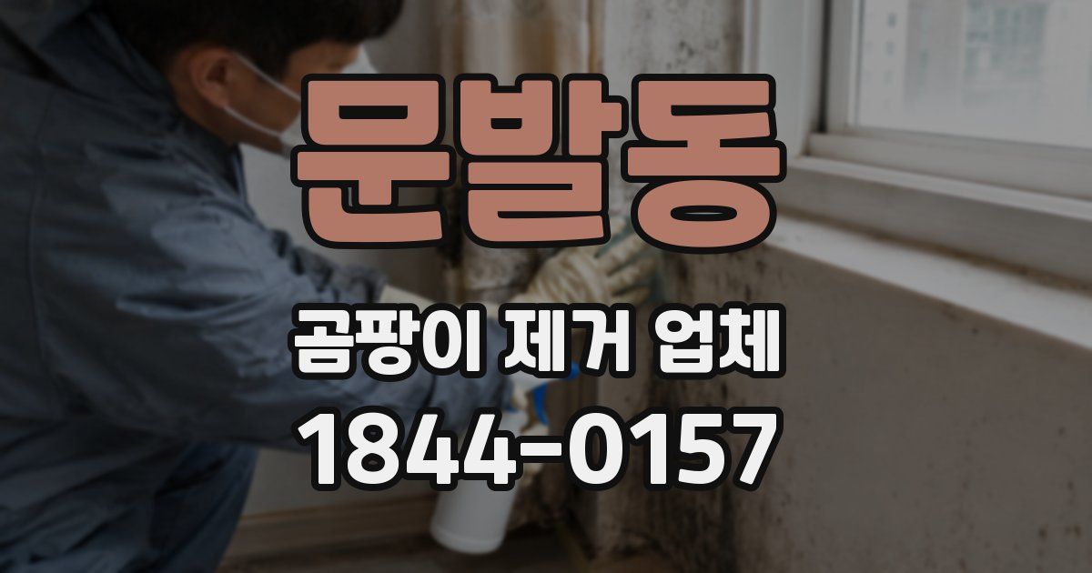 문발동 곰팡이 제거 업체