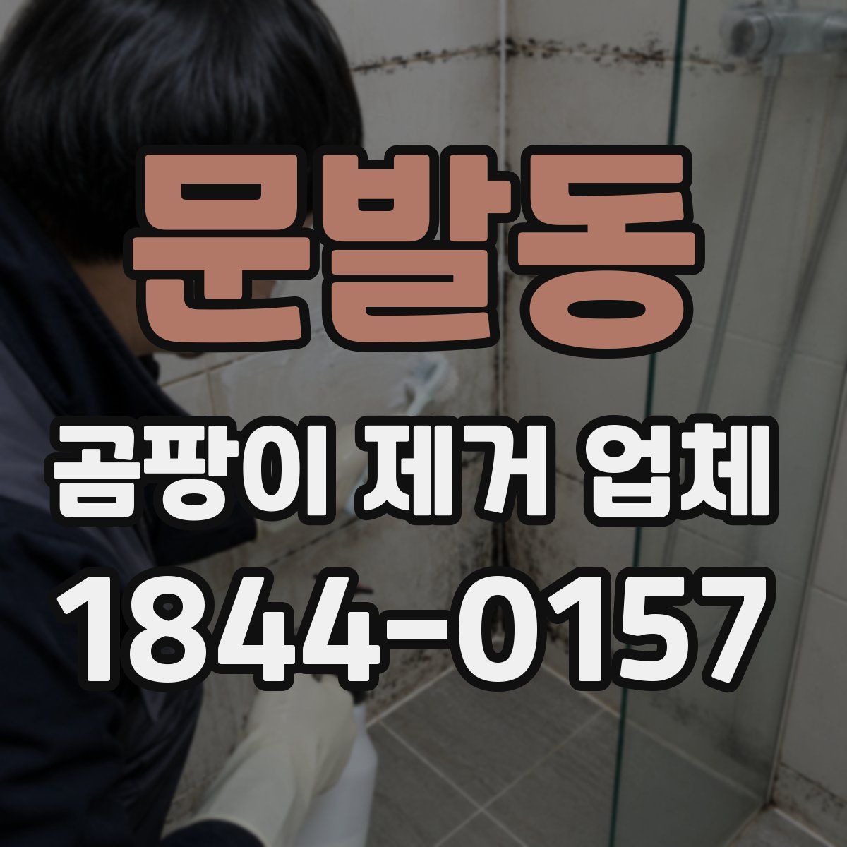 문발동 곰팡이 제거 업체