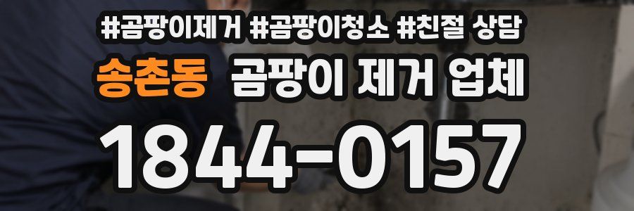 송촌동 곰팡이 제거 업체