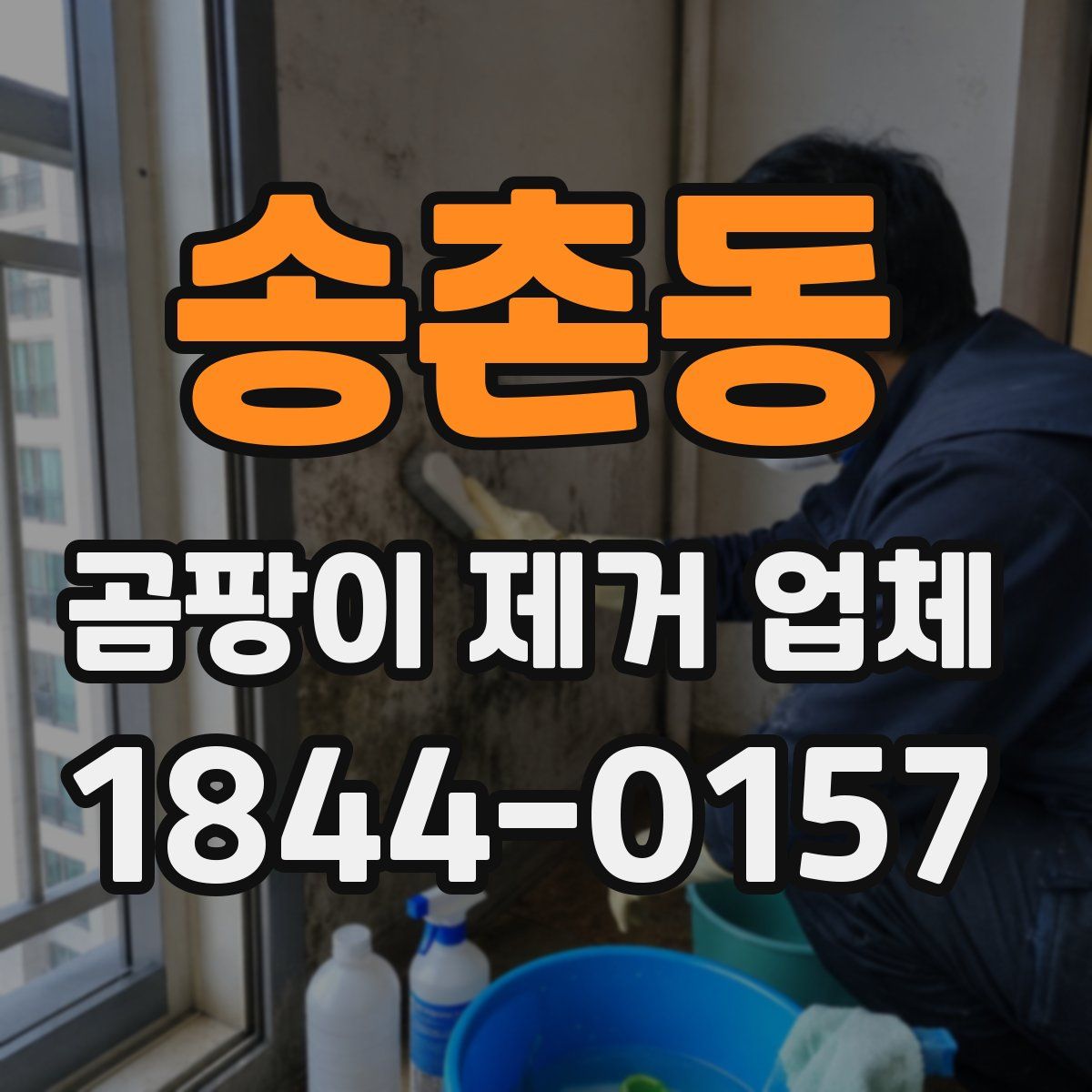 송촌동 곰팡이 제거 업체