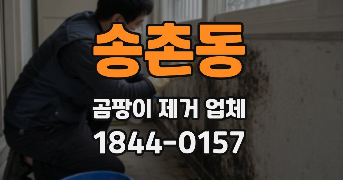 송촌동 곰팡이 제거 업체